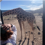 Out of Africa Wildlife Park photo submitted by Thaddeus Barringer