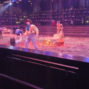 Dolly Parton's Stampede Dinner Attraction photo submitted by Connie Collins