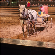 Dolly Parton's Stampede Dinner Attraction photo submitted by Connie Collins