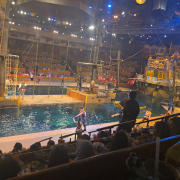 Pirates Voyage - Dinner & Show photo submitted by Lola Cheek