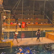 Pirates Voyage - Dinner & Show photo submitted by Lola Cheek