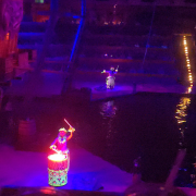 Pirates Voyage - Dinner & Show photo submitted by Lola Cheek