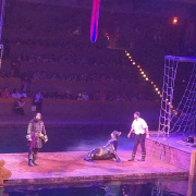 Pirates Voyage - Dinner & Show photo submitted by Lola Cheek