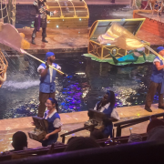 Pirates Voyage - Dinner & Show photo submitted by Lola Cheek