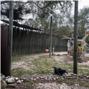 Wild Adventures Theme Park photo submitted by Hannah Stone