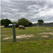 Wild Adventures Theme Park photo submitted by Hannah Stone