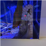 WonderWorks Branson photo submitted by Margie Foley