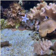 WonderWorks Branson photo submitted by Margie Foley