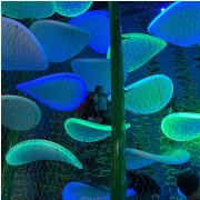 WonderWorks Branson photo submitted by Margie Foley