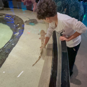 WonderWorks Branson photo submitted by Margie Foley