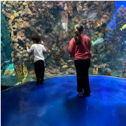 WonderWorks Branson photo submitted by Margie Foley