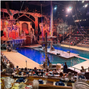 Pirates Voyage Dinner & Show photo submitted by Susan Crites