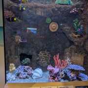 Newport Aquarium photo submitted by Gabrielle Cook