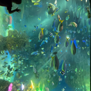 Ripley's Aquarium of the Smokies photo submitted by Teja Hockinson