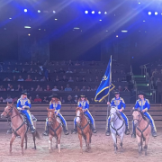 Dolly Parton's Stampede Dinner Attraction photo submitted by Lisa Kaiser