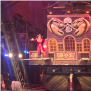 Pirates Voyage - Dinner & Show photo submitted by Cynthia Holstein