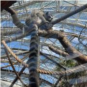 The Florida Aquarium photo submitted by Joshua Fracassi