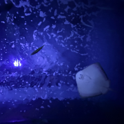 Aquarium at the Boardwalk photo submitted by Melissa Wells