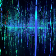 Aquarium at the Boardwalk photo submitted by Melissa Wells