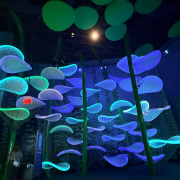 Aquarium at the Boardwalk photo submitted by Melissa Wells