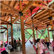 Railbike Excursion Along Pudding Creek photo submitted by Shannon Earle