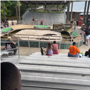 Gatorland photo submitted by Quavs Jones