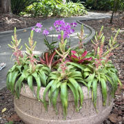 Flamingo Gardens photo submitted by Kenverly Maldonado