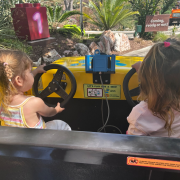 LEGOLAND California Resort photo submitted by Dana Castellaw