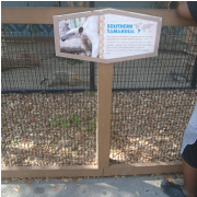 Wild Adventures Theme Park photo submitted by TIFFANY KNIGHT