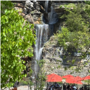 Dogwood Canyon Nature Park photo submitted by Cathy Breeck