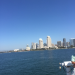 San Diego Harbor Cruise by Hornblower  photo submitted by Jessica Gomez