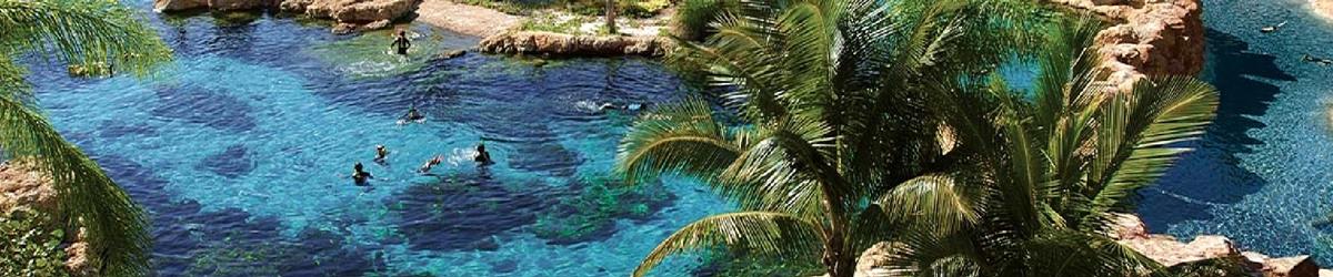 Discovery Cove Packages