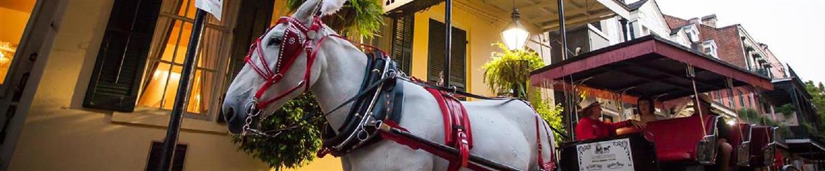 New Orleans Horse-Drawn Carriage Tours