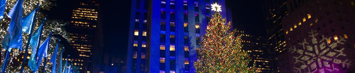 New York City Holiday Lights Tour 2023