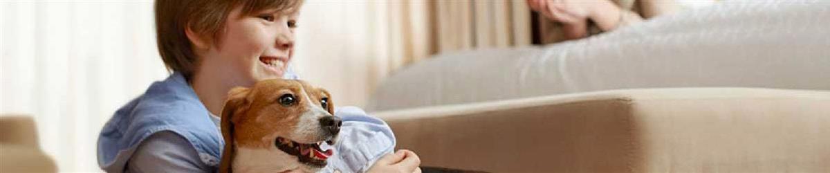 Pet-Friendly Hotels in Kissimmee, Florida