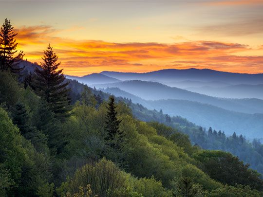 Tripster Gatlinburg