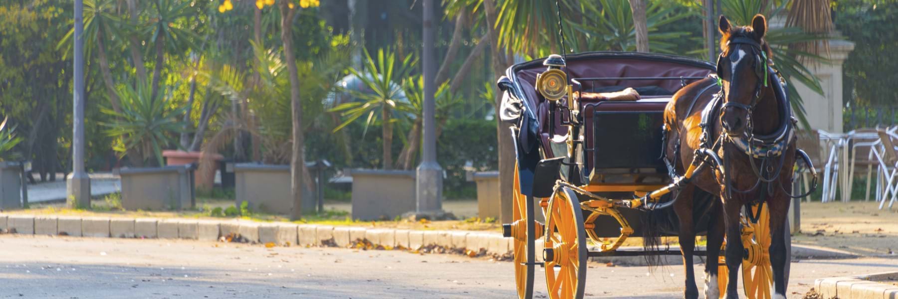 Westgate Historic Williamsburg Resort in Williamsburg, Virginia