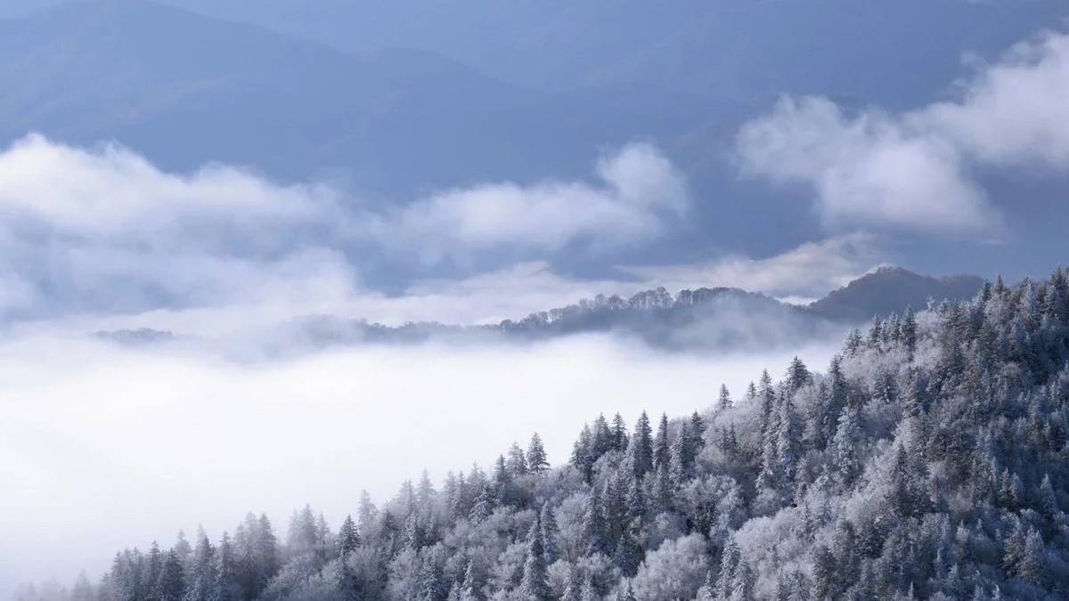 Snow-covered trees in the Great Smoky Mountains with mist and mountains in the background.