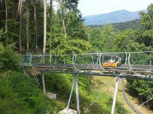 Ride the Rails at a Pigeon Forge Mountain Coaster