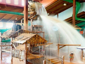 Hotels with Waterparks in Branson MO: 7 Best Aquatic Thrills on Vacation