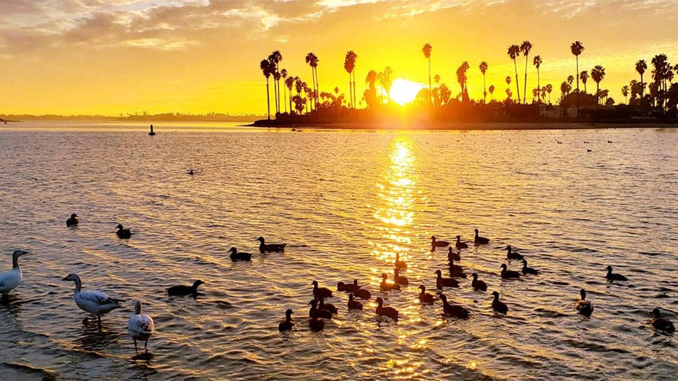 Sunset at Mission Bay Park - San Diego, California, USA
