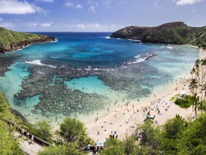 Hanauma Bay Hawaii: Top Oahu Snorkel Spot