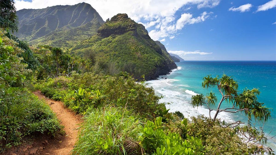Hiking trail near the ocean on in Kauai, Hawaii, USA