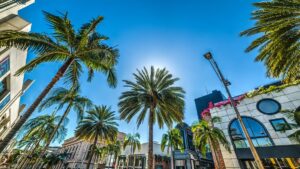 Palm Trees and Store Fronts along Rodeo Drive in Beverly Hills - Los Angeles, California, USA