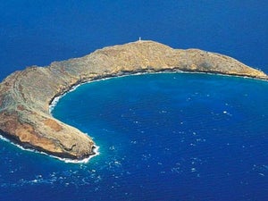 Snorkel Molokini: One of the Top 10 Spots in the World