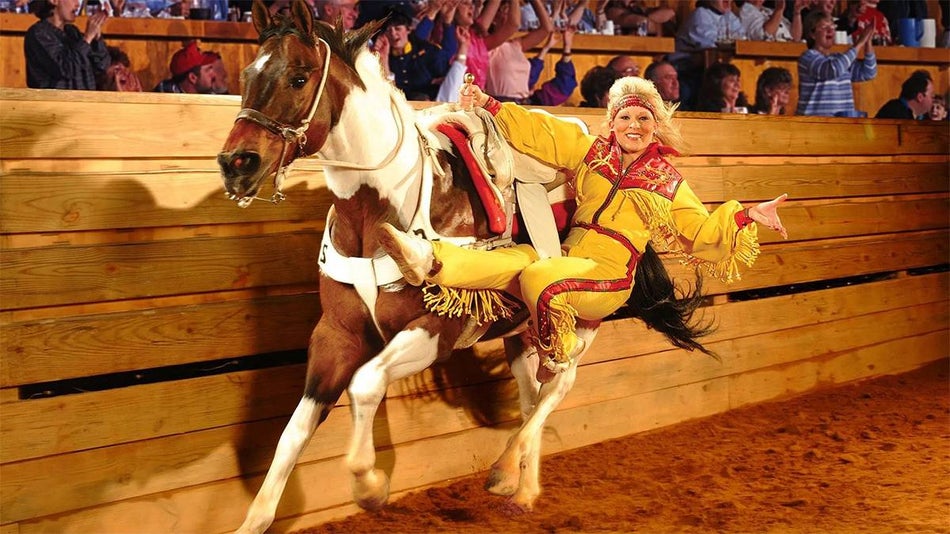 Dolly Parton Stampede Coupon 🐎 2023 Ultimate Guide