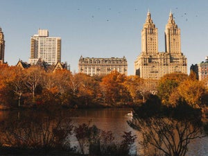 In-Depth Guide to Fall in NYC