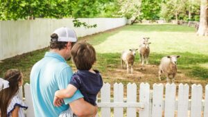 Family looking at lambs at Colonial Williamsburg - Williamsburg, Virginia, USA