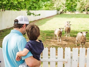 Colonial Williamsburg with Kids - How History is Made Fun