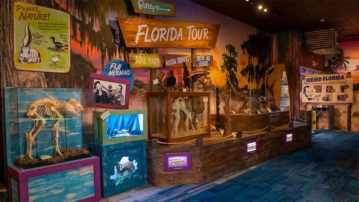 Ripley's Believe It Or Not St Augustine 🦖 Save Up to 11% Off